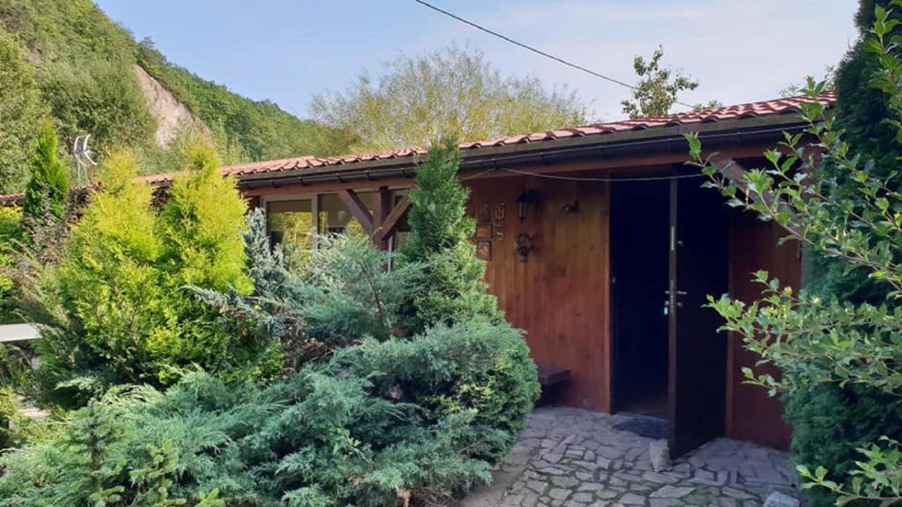 Eden Villa Sedziszowa Kültér fotó