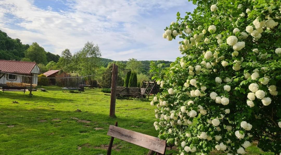 Eden Villa Sedziszowa Kültér fotó